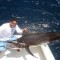 Blue Pearl Sportfishing Charter