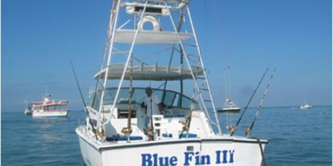 Bluefin Sportfishing Charters and Tours