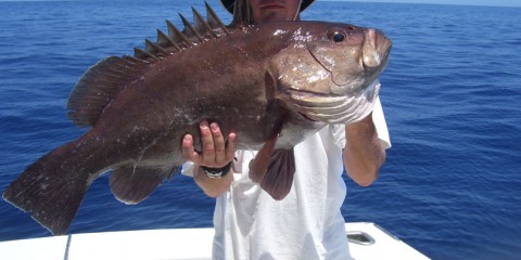 Capullo Costa Rica Fishing Charters