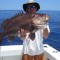 Capullo Costa Rica Fishing Charters