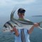 Crocodile Bay Resort and Sportfishing