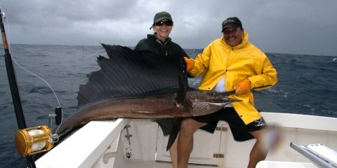 Luna Tours Sportfishing