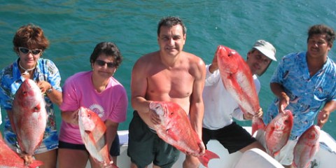 Yellowfin Sportfishing Charters