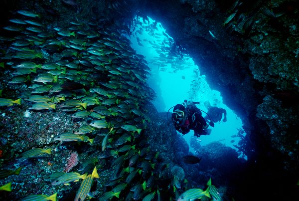 scuba diving jobs in caribbean