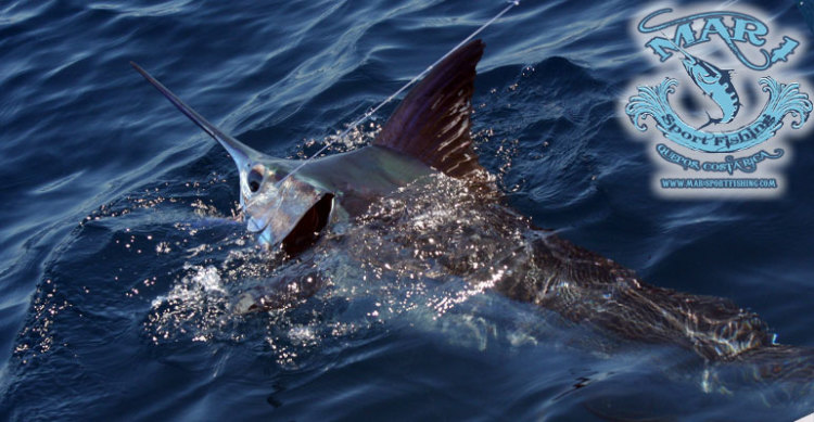 Fishing Charters Costa Rica 1